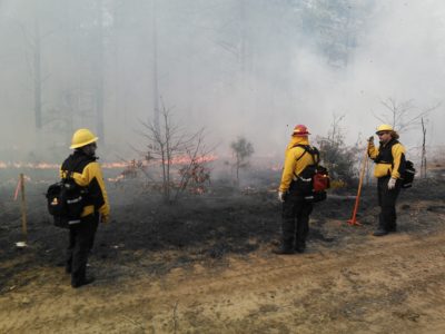 Isang larawan ng tatlong tao na nakasuot ng protective gear na nagpapatrolya sa fire line ng understory burn