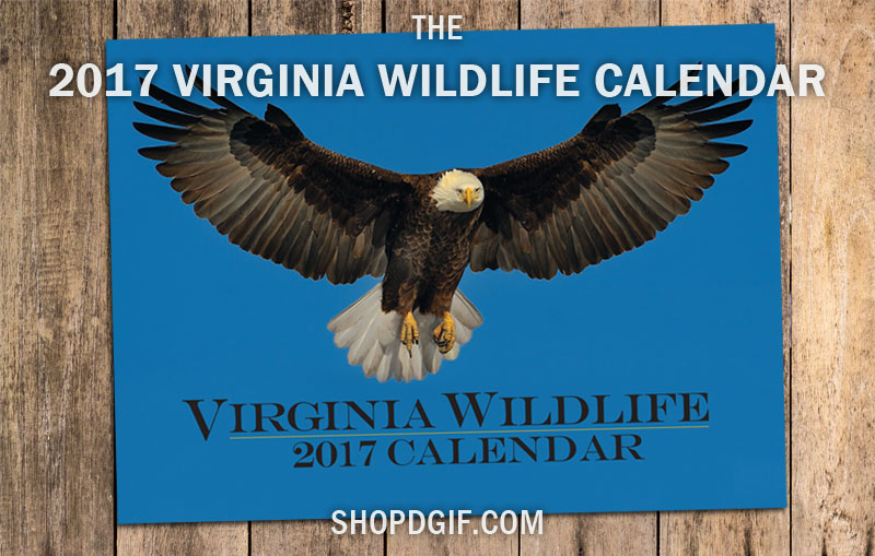 Isang larawan ng pabalat ng 2017 DWR na larawan sa kalendaryo na kinunan ni Ricky Simpson