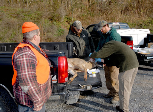 cwd-serveillance-w-hunter