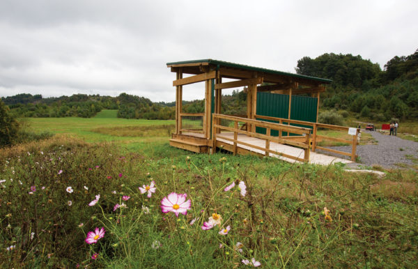 Isang imahe ng istasyon ng panonood ng elk na lumilitaw bilang isang wood pavilion na may berdeng lata na bubong at mga dingding at isang rampa upang ma-access ito; sa harapan ay may kulay rosas at puting bulaklak.