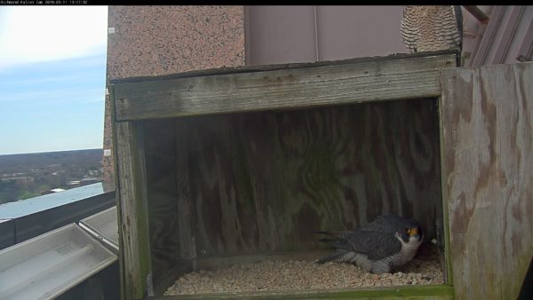 Ang lalaki ay nakatayo sa simot habang ang babae ay nakaupo sa ibabaw ng kahon.