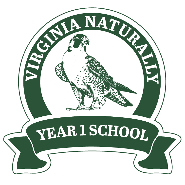 Ang imahe ay ng Virginia Naturally Year 1 badge, sa gitna ay isang drawing ng Peregrine Falcon