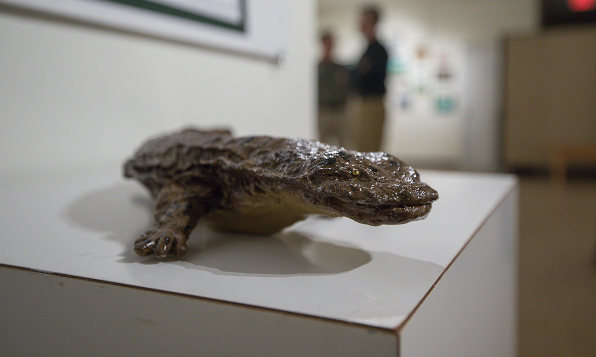 Isang life-size na modelo ng eastern hellbender sa isang puting platform sa Restore the Wild Artwork Competition exhibit.