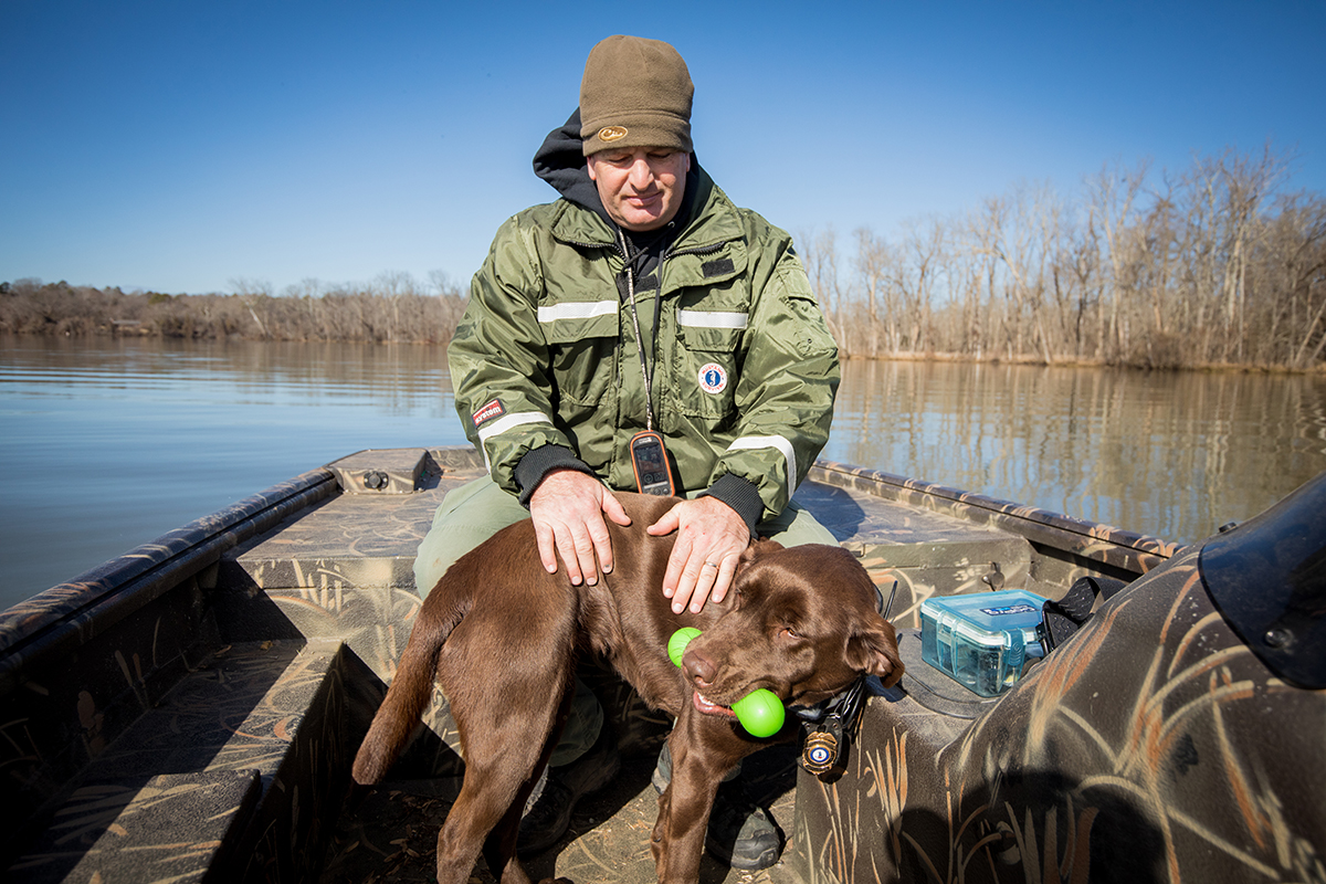 Matapos matagumpay na matapos ng mga K9ang kanilang gawaing pabango, gagantimpalaan sila ng paglalaro, tulad ng ginagawa nila para sa kanilang karaniwang paghahanap ng artikulo.