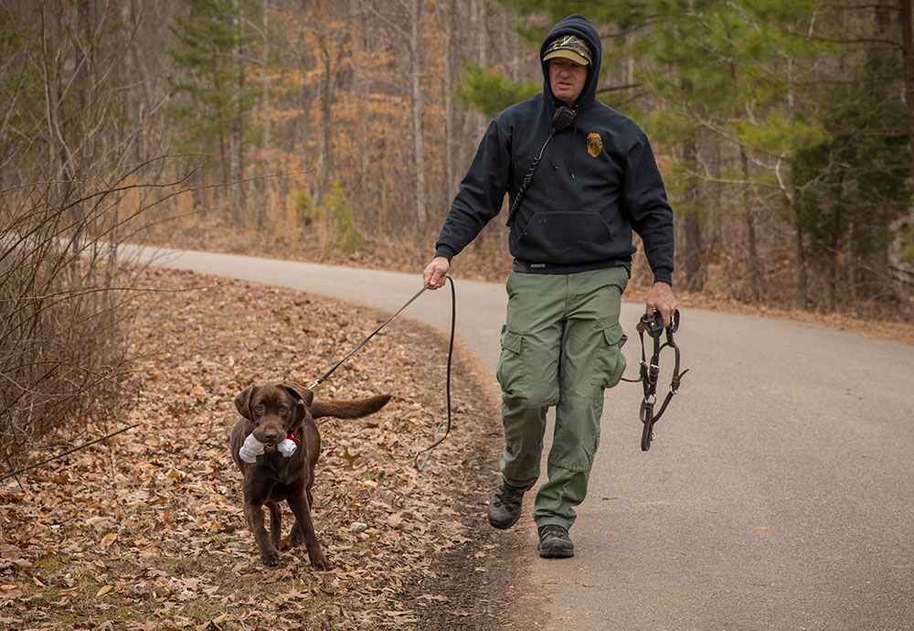 Isang imahe ni Molly ang aso na may laruang lubid pagkatapos makumpleto ang isang pagsasanay sa pagsasanay 