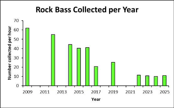 Bar chart ng rock bass na nakolekta bawat taon sa Clinch River.