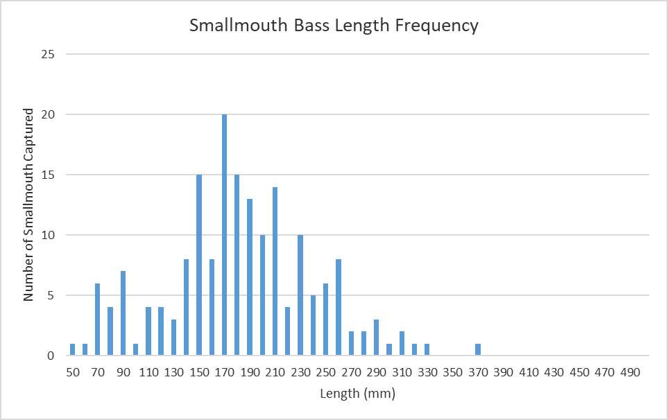 Bar chart ng haba-dalas para sa Cowpasture River smallmouth bass.