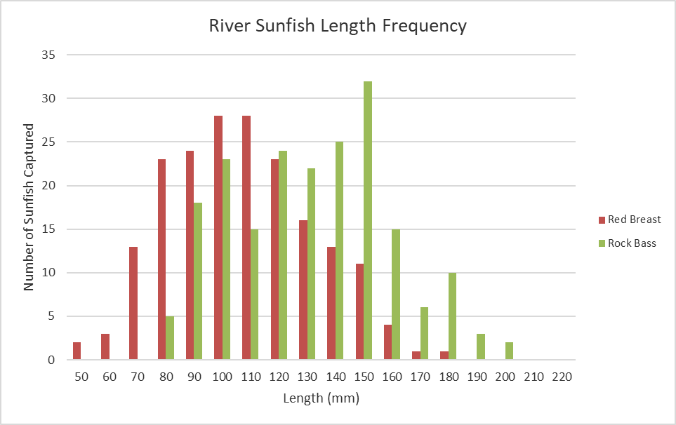 Bar chart ng haba-dalas para sa Cowpasture River sunfish.
