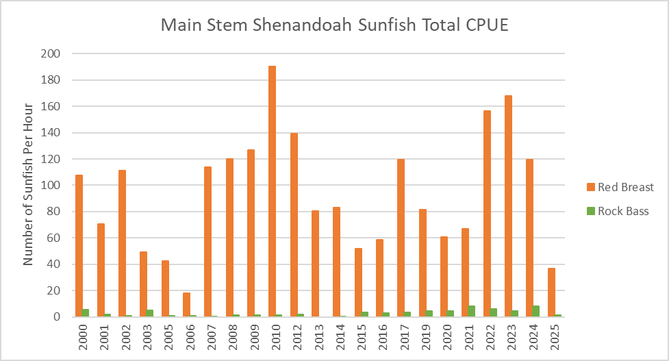 Bar chart ng huli ng sunfish sa Main Stem Shenandoah River kada yunit ng pagsisikap ayon sa taon.
