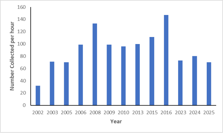 Bar chart ng mga rate ng panghuhuli ng smallmouth bass sa North Fork Holston River ayon sa taon.