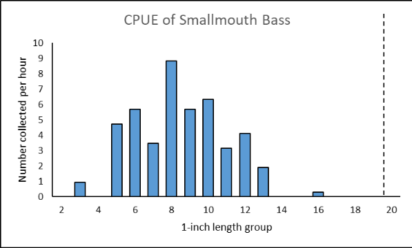 Bar chart ng huli ng Powell River smallmouth bass kada yunit ng pagsisikap ayon sa isang pulgadang grupo ng haba.
