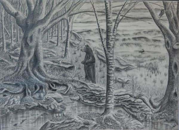 Isang graphite na pagguhit ng isang butil sa kakahuyan bilang nagwagi sa kategoryang What Restore the Wild Means to Me