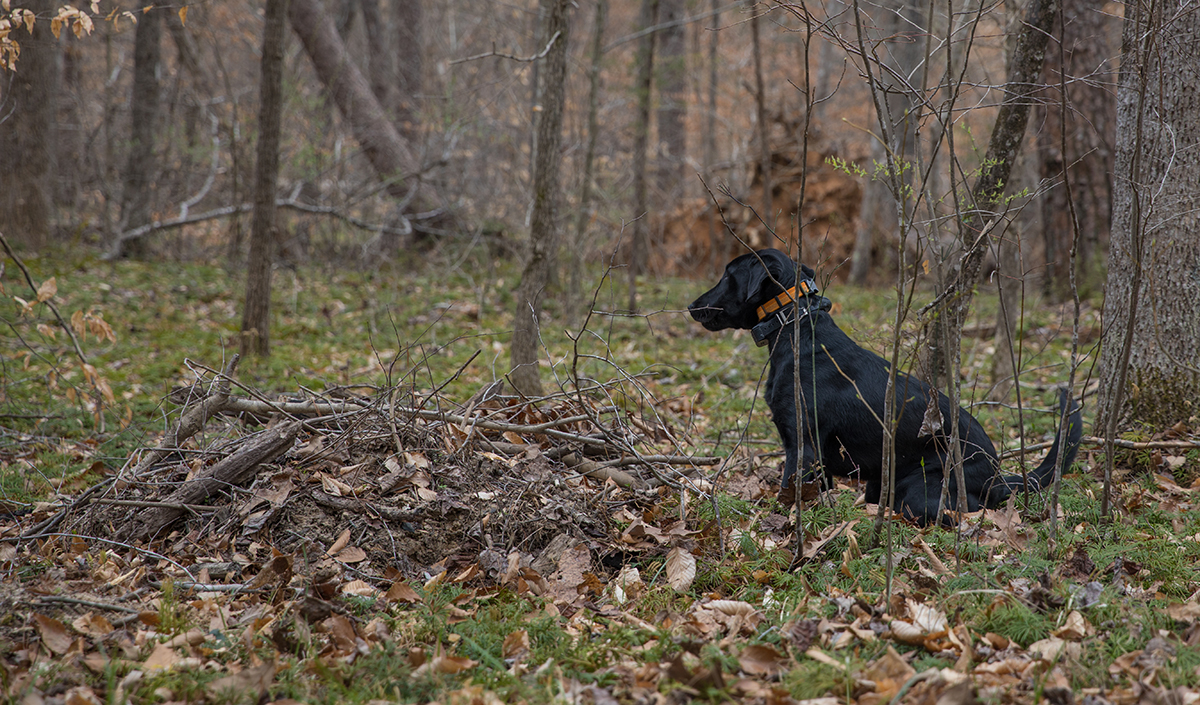 Umupo si Grace para alerto na may nahanap siya.