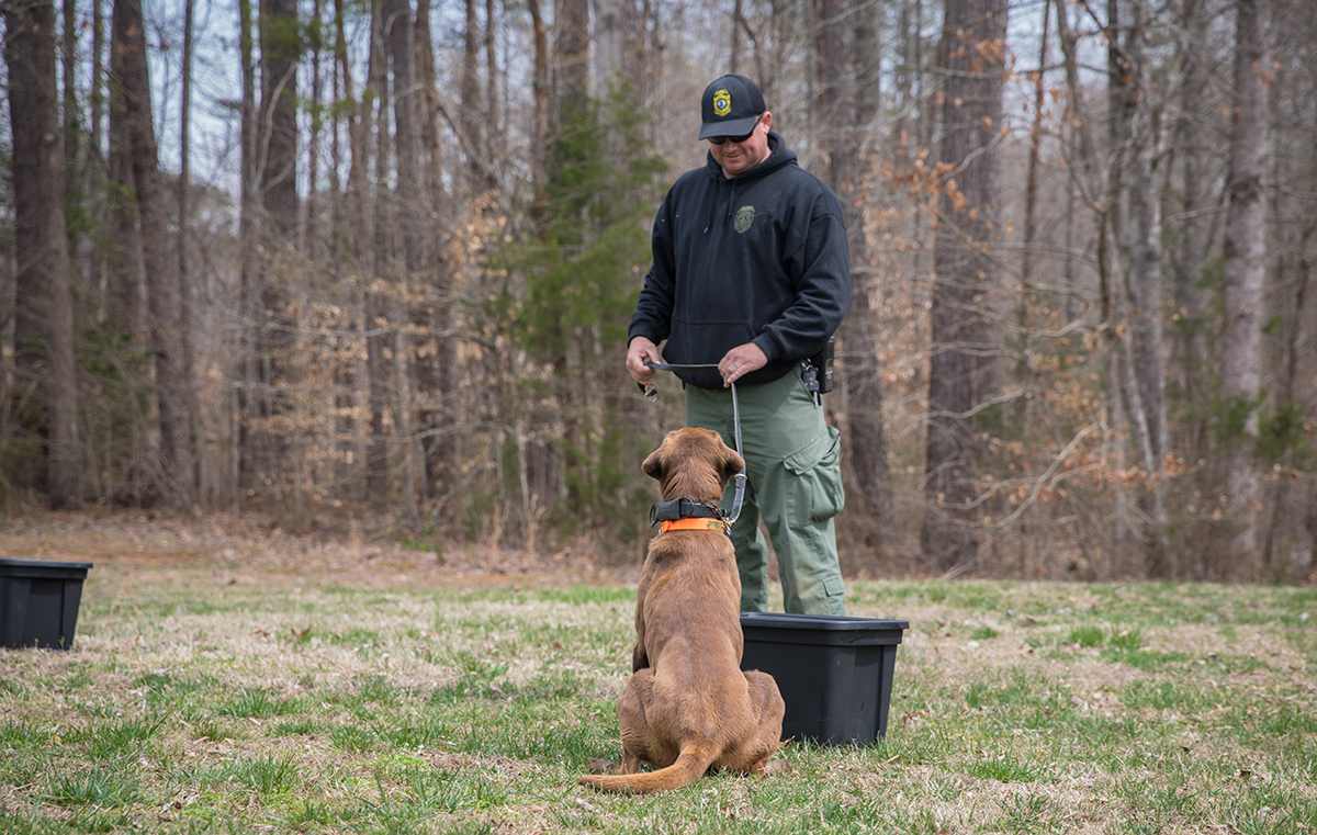 K9 Umupo si Reese upang alertuhan ang kanyang handler, si CPO Ian Ostlund, na nakakita siya ng karne ng wildlife sa lalagyan.