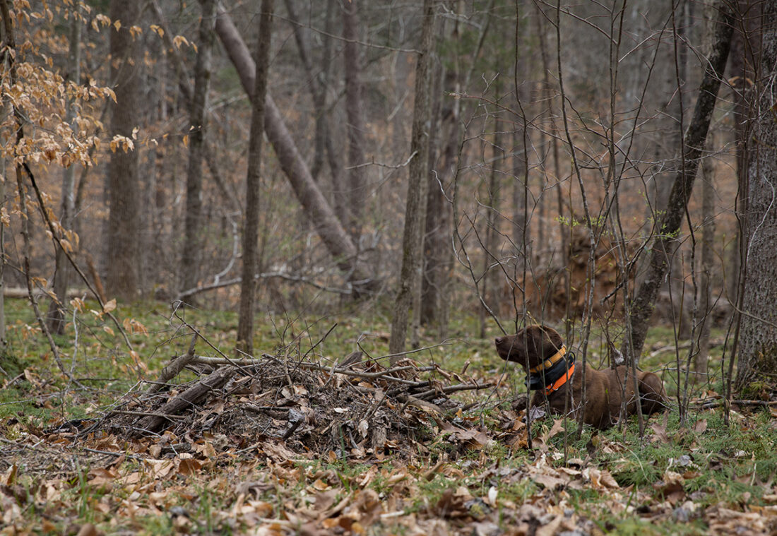 Inaalerto ni Reese ang kanyang nahanap.