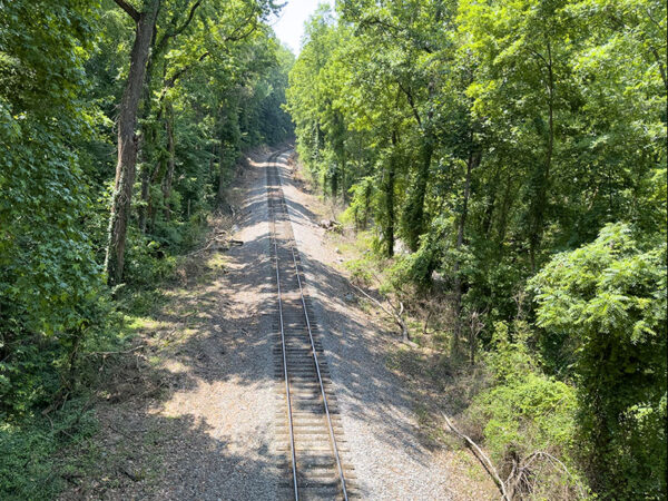 Ang tulay sa ibabaw ng mga riles ng tren ay nagbibigay-daan para sa treetop birding. Maghanap ng mga warbler sa panahon ng paglipat. Credit ng Larawan: Lisa Mease