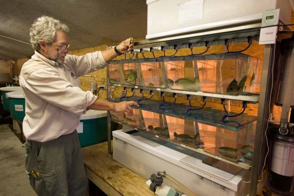 I-click para palawakin ang larawan