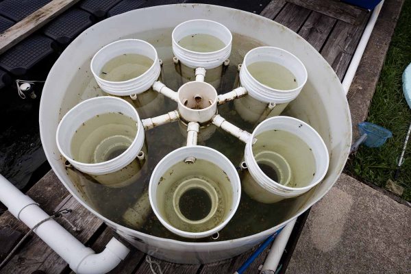 I-click para palawakin ang larawan