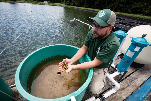 I-click para palawakin ang larawan