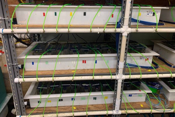 I-click para palawakin ang larawan