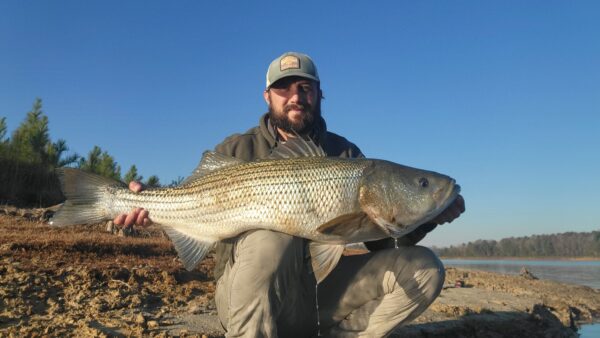 Angler na si Derek Merricks na nag-pose na may striped bass. nahuli siya sa Little Creek Reservoir.