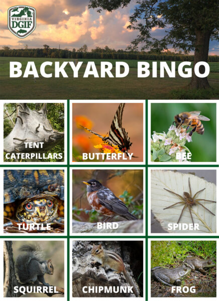 I-click para magbukas ng PDF na bersyon ng Backyard bingo board - animal edition