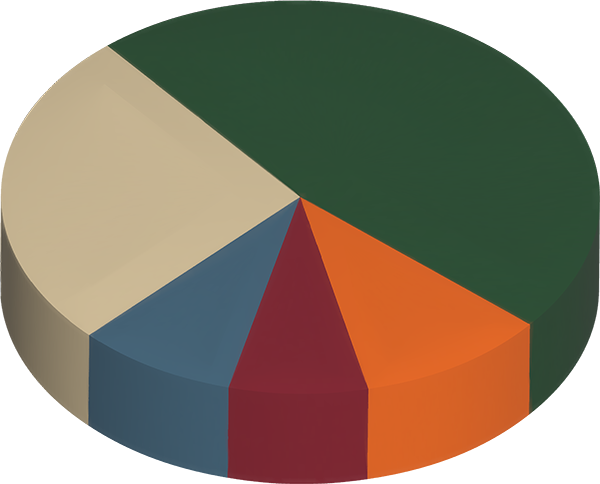 Isang pie chart na nagpapakita ng mga kategorya ng capital project ng DWR