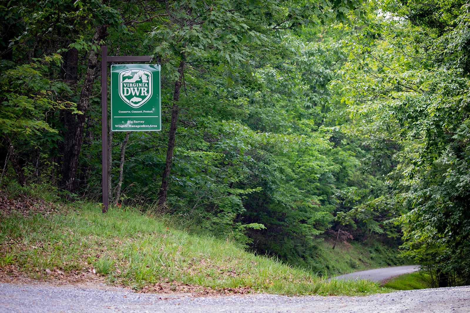 Paano Kami Pinondohan at Paano Kami Gumastos