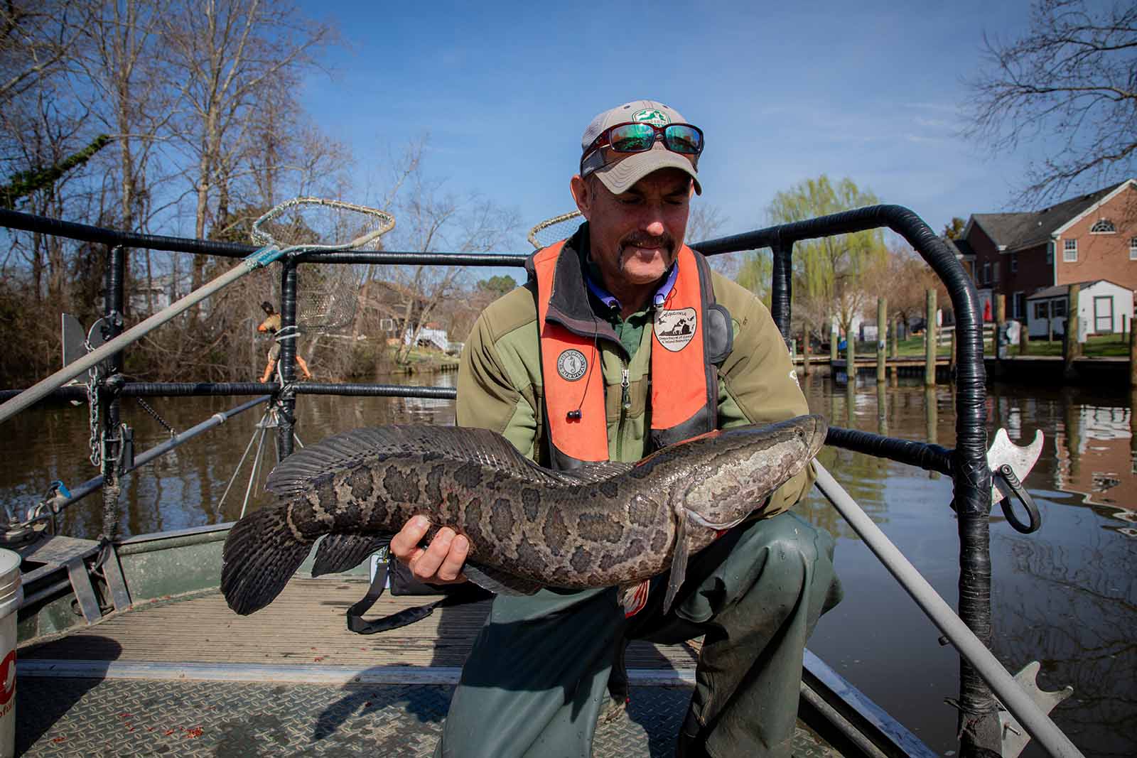 Sinaliksik ang Mga Nagsasalakay na Species