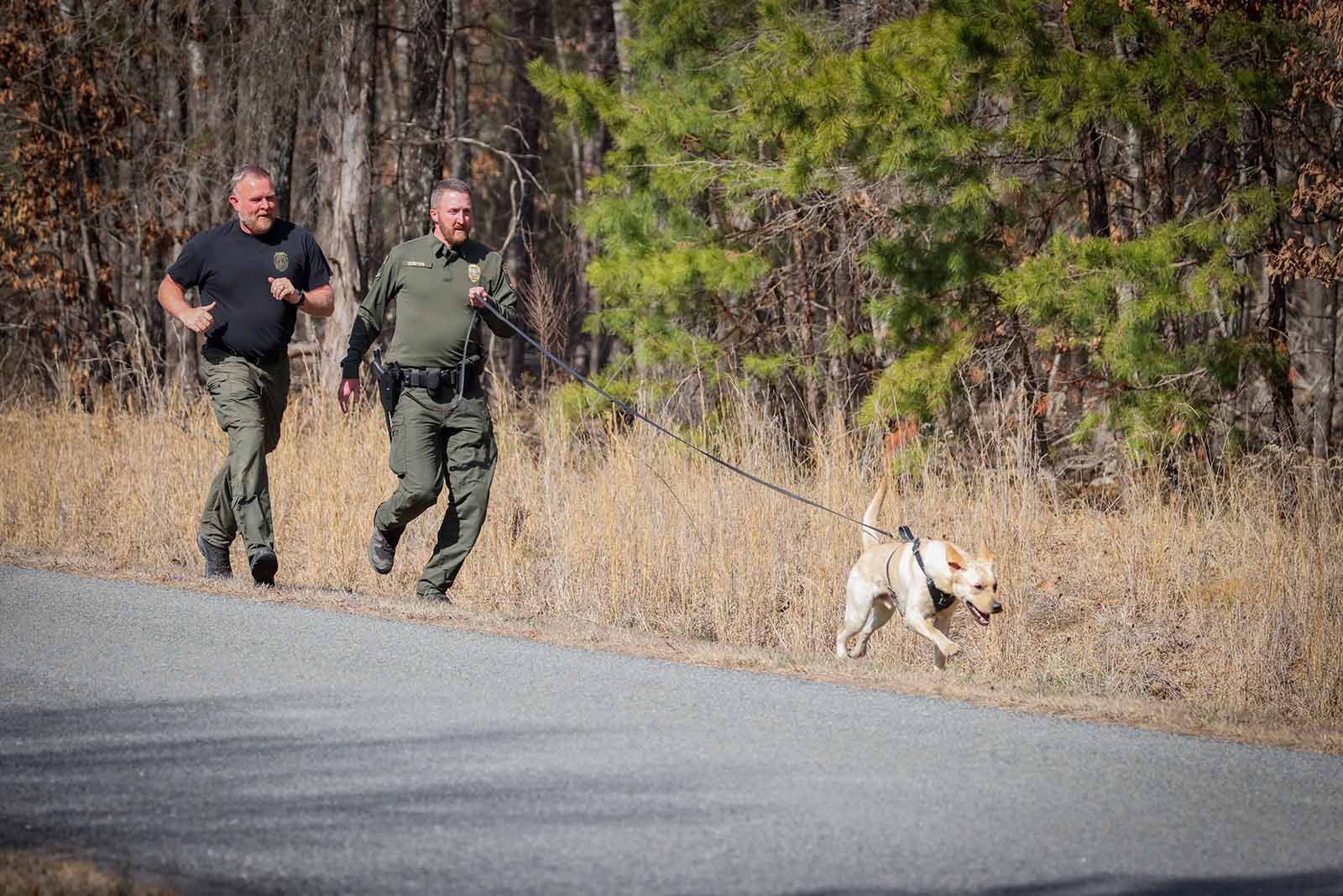 K9s Palawakin ang Kakayahan