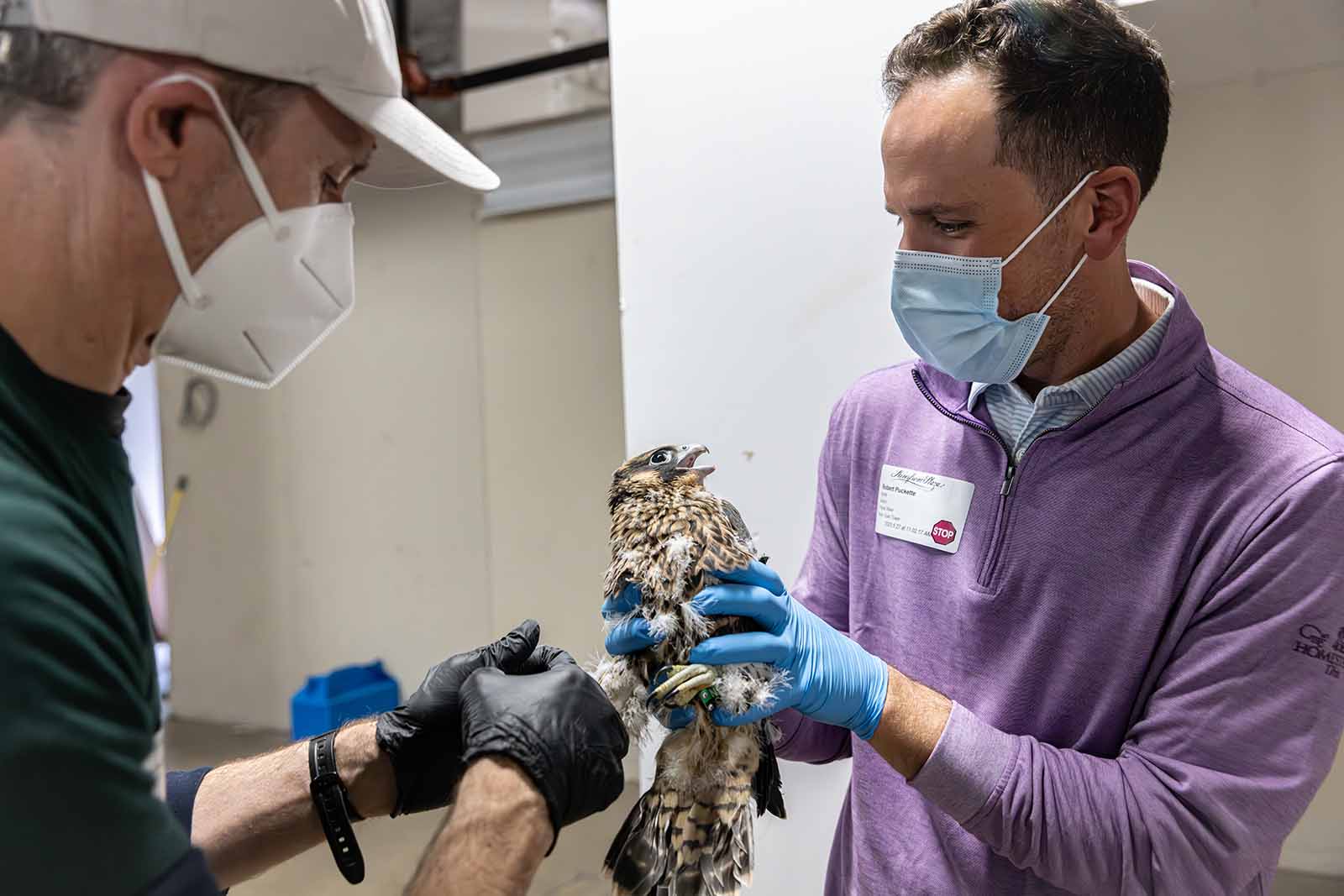 Triple Crossing Beer