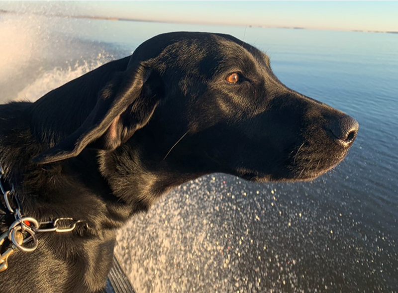 Si Bailey na nakasakay sa bangka ay nakatingin sa abot-tanaw