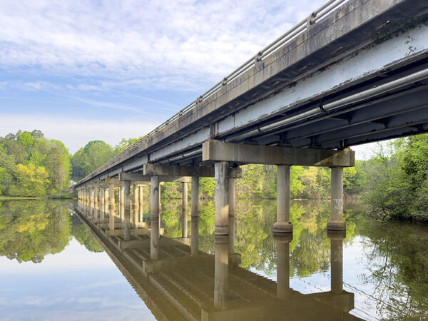 US-501 bridge na isang mahalagang nesting site para sa isang kolonya ng cliff swallow