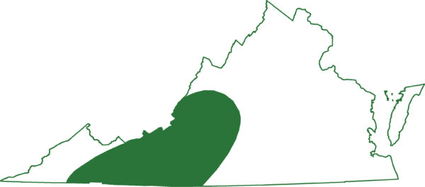 Black bellied salamander range map