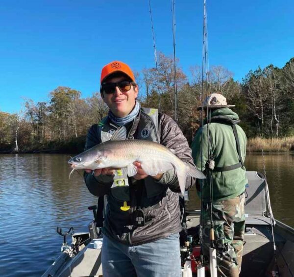 Isang imahe ng isang asul na hito na hawak ng isang lalaki