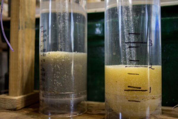 Pagsukat ng mga lalagyan