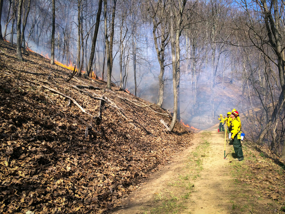 Isang imahe ng isang control line na ginawa bago nangyari ang paso
