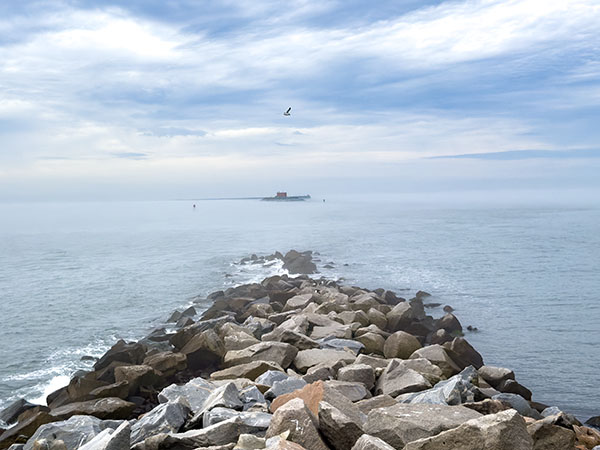 Ang mga jetties at bato na nakapalibot sa 4th island ay isang lugar ng pagtitipon para sa mga gull, brown pelicans, at overwintering purple sandpiper. Credit ng Larawan: Lisa Mease