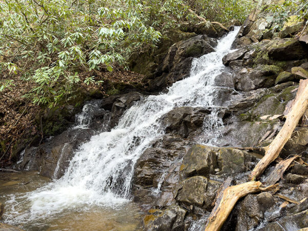 Isang imahe ng Comer's creek waterfall sa loob ng lambak ng Fairwood