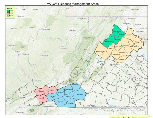 Mapa ng Virginia na naglalarawan sa mga county na kasama sa bawat lugar ng pamamahala ng sakit sa CWD para sa 2025-2026