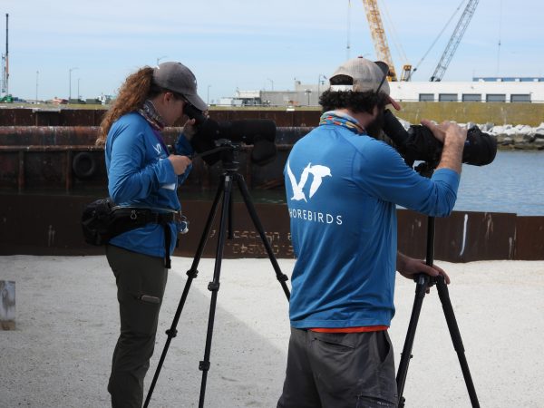 Kelsi Hunt (kaliwa) at Dr. Dan Catlin (kanan) na nagsasagawa ng resight survey sa HRBT site.