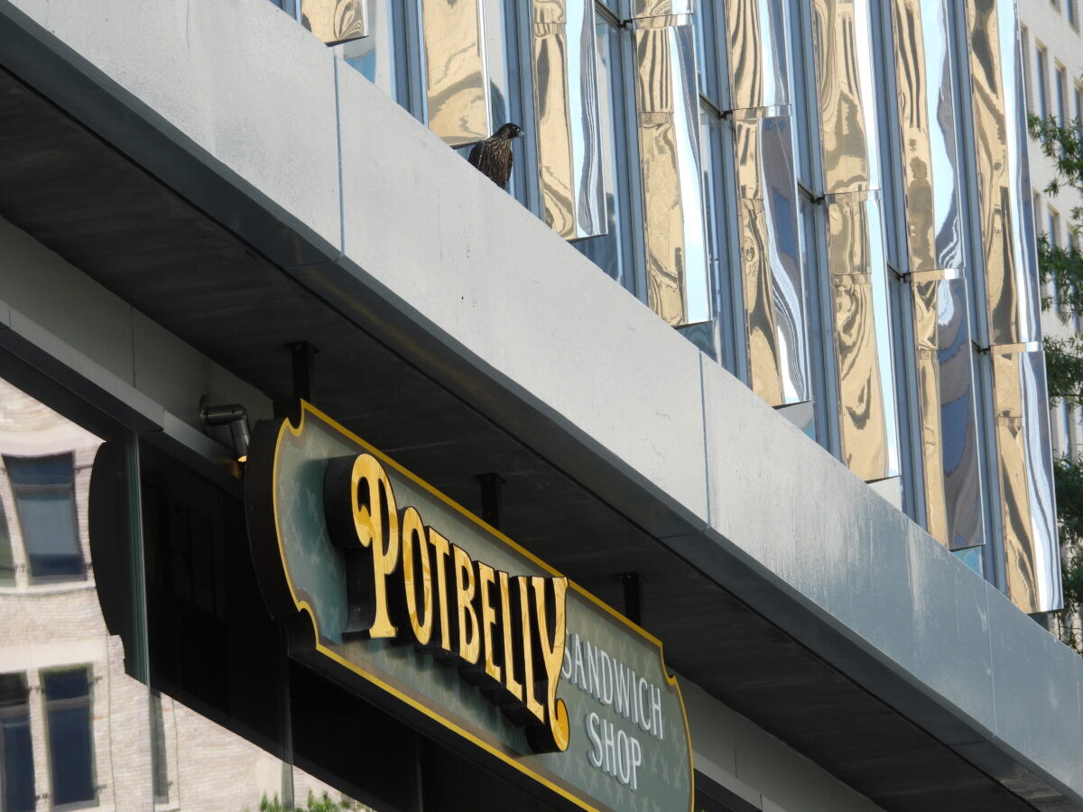 'Orange' sa ibabaw ng sandwich shop sa Towne Bank building