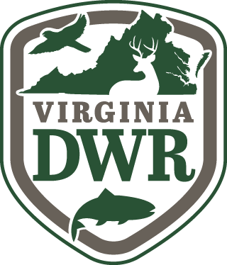 Logo ng DWR