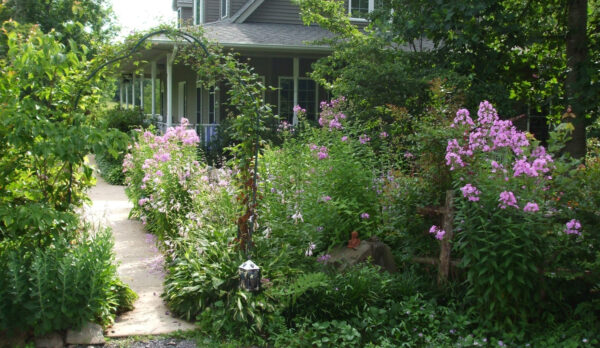 Isang imahe ng isang multi-layered na hardin na itinanim para sa wildlife attraction