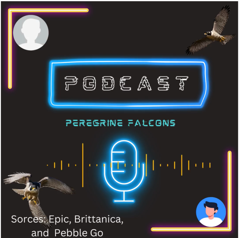 Isang imahe ng podcast logo mula sa Elementary school peregrine falcon program