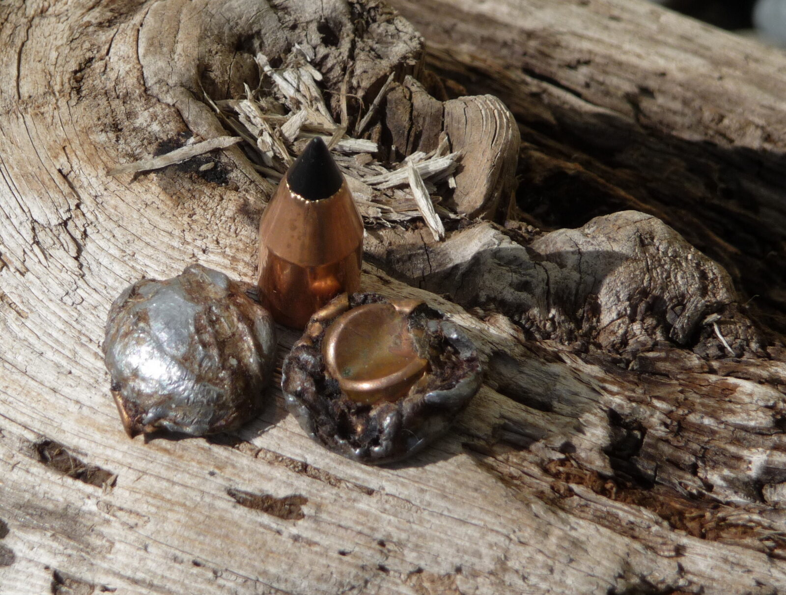 Isang imahe ng mga ginugol na bala ng muzzleloader sa isang piraso ng kahoy