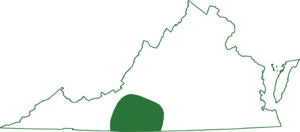 Ang Flat headed salamander ay matatagpuan sa isang solong rehiyon ng central Virginia