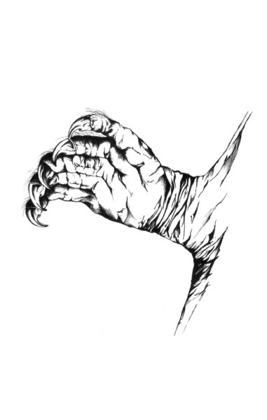 Isang imahe ng Grey Bat