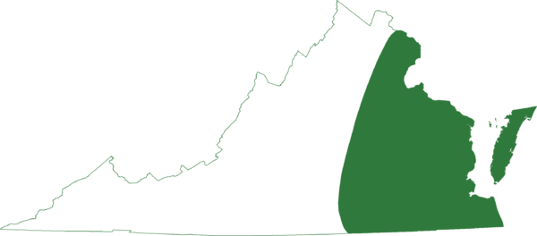 Ang berdeng treefrog ay matatagpuan sa buong silangang rehiyon ng estado kabilang ang mga barrier island
