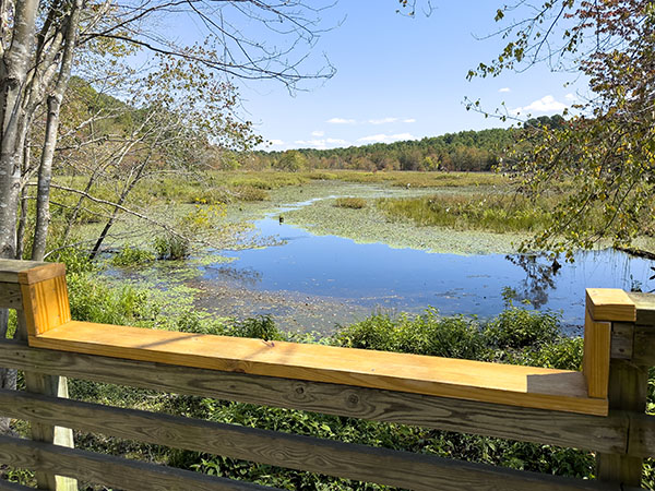 Hinahayaan ng nakababang riles ng boardwalk ang lahat na maghanap ng magagandang egrets at waterfowl sa pond. Credit ng Larawan: Lisa Mease